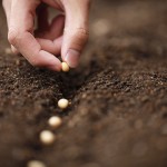 All’Expo si parla siciliano con Amorfood e la rete di produttori dell’Isola