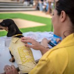 E anche il bassotto di Striscia indossò il vestitino glitter al Sicilia Outlet Village