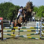 Salto ostacoli e Trofeo Sicilia Silver. Quarta tappa a Palermo