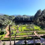 I Giardini di Palazzo Orléans, una meraviglia di Palermo da vedere